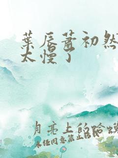 叶辰萧初然更新太慢了