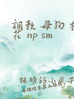 调教 母狗 校花 np sm