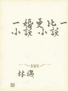 一婚更比一婚高小说 小说