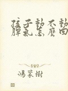 孩子动不动就发脾气怎么回事