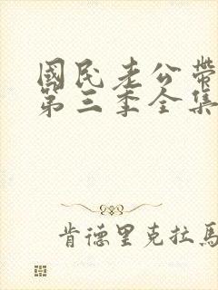 国民老公带回家第三季全集