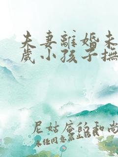 夫妻离婚未满两岁小孩子抚养权归谁