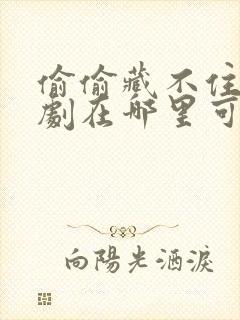 偷偷藏不住电视剧在哪里可以免费看