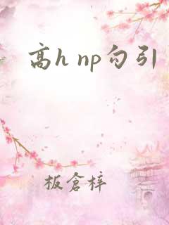 高h np勾引