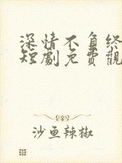 深情不负终遇你短剧免费观看全集