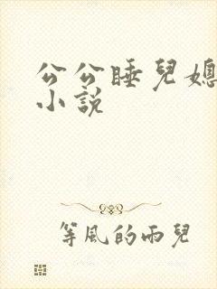 公公睡儿媳妇的小说