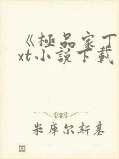 《极品家丁》txt小说下载