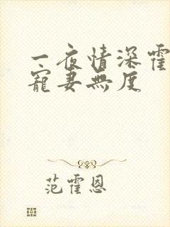 一夜情深霍先生宠妻无度