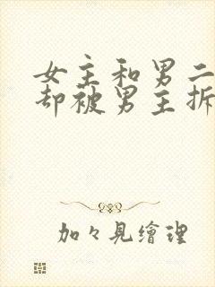 女主和男二相爱却被男主拆散现言