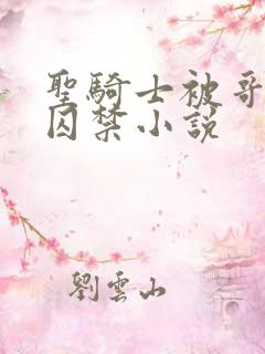 圣骑士被哥布林囚禁小说