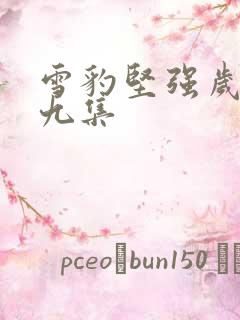 雪豹坚强岁月十九集