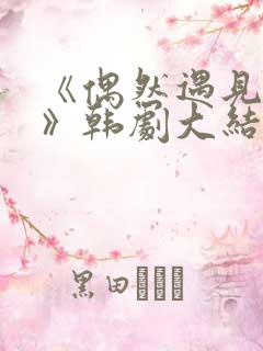 《偶然遇见的你》韩剧大结局