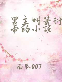 男主叫萧衍是皇帝的小说