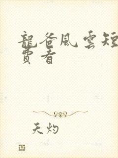 龙爸风云短剧免费看