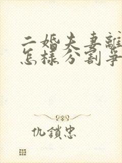 二婚夫妻离婚后怎样分割争财产