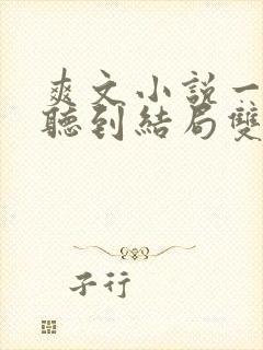 爽文小说一口气听到结局双男主