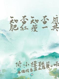 知否知否应是绿肥红瘦一共多少集