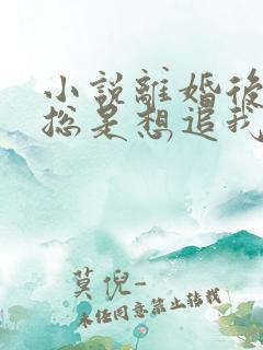 小说离婚后前夫总是想追我在线阅读