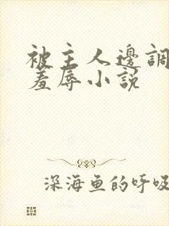 被主人边调教边羞辱小说