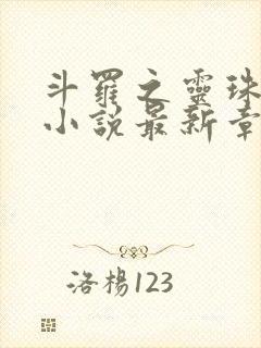 斗罗之灵珠神剑小说最新章节下载