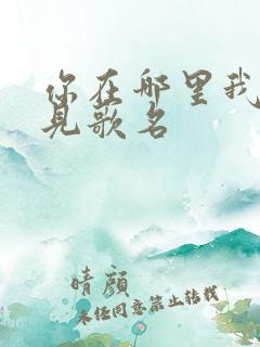 你在哪里我看不见歌名