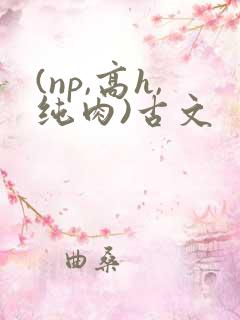 (np,高h,纯肉)古文