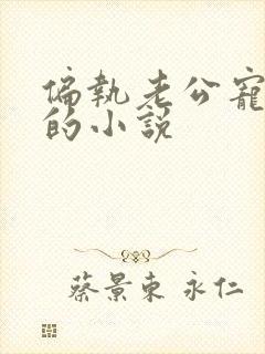 偏执老公宠上天的小说