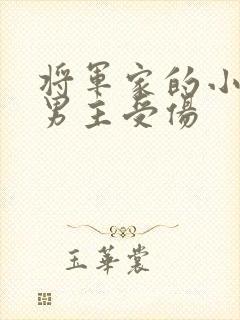 将军家的小娘子男主受伤