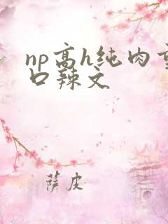np高h纯肉重口辣文