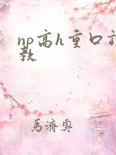 np高h重口调教