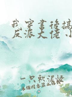 我穿书后搞到了反派大佬 小说