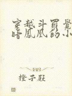 穿越斗罗觉醒黑暗凤凰的小说