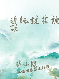 清纯校花被艹小说