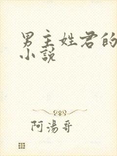 男主姓君的现代小说