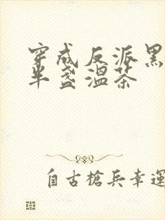 穿成反派黑月光半盏温茶