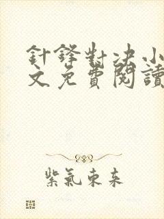 针锋对决小说全文免费阅读完整版未删减