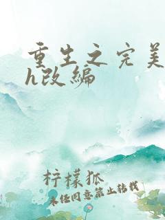 重生之完美时代h改编