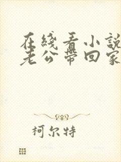 在线看小说国民老公带回家