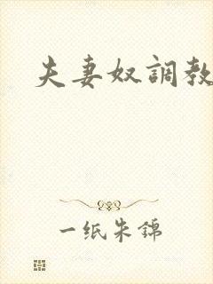 夫妻奴调教小说