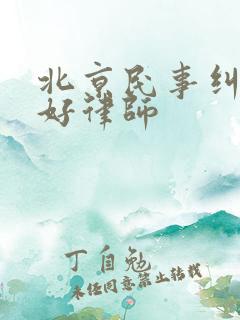 北京民事纠纷的好律师