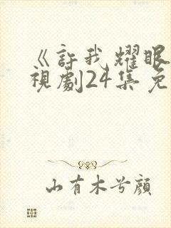 《许我耀眼》电视剧24集免费观看