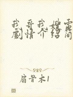 我哥我嫂电视剧剧情介绍简介