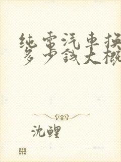 纯电汽车换电池多少钱大概