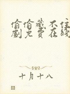 偷偷藏不住电视剧免费在线观看