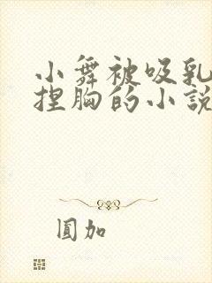 小舞被吸乳被揉捏胸的小说叫什么