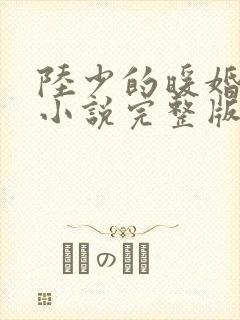 陆少的暖婚新妻小说完整版本