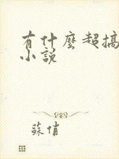 有什么超搞笑的小说