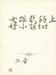 女总裁的上门龙婿小说txt