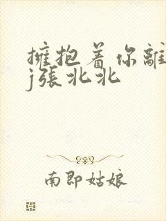 拥抱着你离去dj张北北