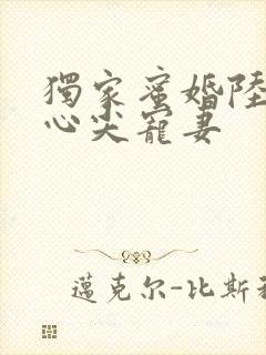 独家蜜婚陆少的心尖宠妻